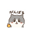 Cats with various expressions.（個別スタンプ：4）