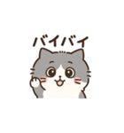 Cats with various expressions.（個別スタンプ：6）