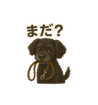 シュナプーユキチャン（個別スタンプ：7）