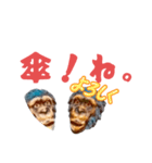 適当挨拶その2、読みやすい！（個別スタンプ：9）