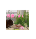 ウーパールーパーほのぼのうめ日記 挨拶編（個別スタンプ：8）