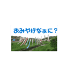 おみやげなぁに（個別スタンプ：5）