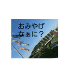 おみやげなぁに（個別スタンプ：8）