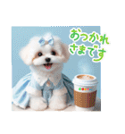 かわいいマルチーズの日常スタンプ2（夏）（個別スタンプ：10）