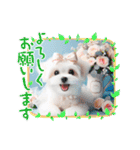 かわいいマルチーズの日常スタンプ2（夏）（個別スタンプ：12）