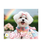 かわいいマルチーズの日常スタンプ2（夏）（個別スタンプ：15）