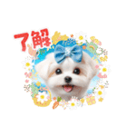 かわいいマルチーズの日常スタンプ2（夏）（個別スタンプ：18）