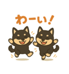 黒柴たちのゆるっとスタンプ（個別スタンプ：11）