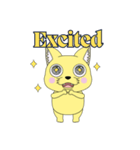 Lovely sticker cat（個別スタンプ：11）