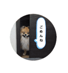 日常おこげ（個別スタンプ：8）