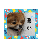 日常おこげ（個別スタンプ：9）