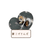 日常おこげ（個別スタンプ：10）