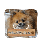 日常おこげ（個別スタンプ：11）