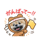 日常おこげ（個別スタンプ：16）