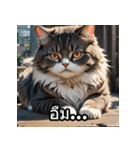 感情丸わかり！タイ語ネコの気持ちスタンプ（個別スタンプ：5）
