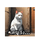 感情丸わかり！タイ語ネコの気持ちスタンプ（個別スタンプ：7）