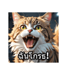感情丸わかり！タイ語ネコの気持ちスタンプ（個別スタンプ：11）