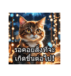 感情丸わかり！タイ語ネコの気持ちスタンプ（個別スタンプ：12）