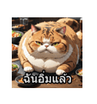 感情丸わかり！タイ語ネコの気持ちスタンプ（個別スタンプ：14）