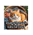 感情丸わかり！タイ語ネコの気持ちスタンプ（個別スタンプ：15）
