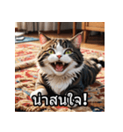 感情丸わかり！タイ語ネコの気持ちスタンプ（個別スタンプ：16）