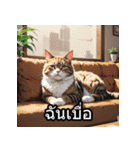 感情丸わかり！タイ語ネコの気持ちスタンプ（個別スタンプ：19）