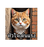 感情丸わかり！タイ語ネコの気持ちスタンプ（個別スタンプ：20）