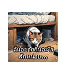 感情丸わかり！タイ語ネコの気持ちスタンプ（個別スタンプ：21）
