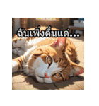 感情丸わかり！タイ語ネコの気持ちスタンプ（個別スタンプ：23）