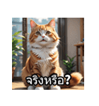 感情丸わかり！タイ語ネコの気持ちスタンプ（個別スタンプ：31）