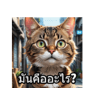 感情丸わかり！タイ語ネコの気持ちスタンプ（個別スタンプ：34）