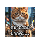 感情丸わかり！タイ語ネコの気持ちスタンプ（個別スタンプ：35）