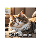 感情丸わかり！タイ語ネコの気持ちスタンプ（個別スタンプ：38）