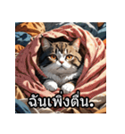 感情丸わかり！タイ語ネコの気持ちスタンプ（個別スタンプ：39）