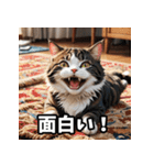 感情まるわかり！ネコの気持ちスタンプ（個別スタンプ：17）