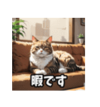 感情まるわかり！ネコの気持ちスタンプ（個別スタンプ：20）