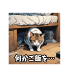 感情まるわかり！ネコの気持ちスタンプ（個別スタンプ：22）