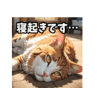 感情まるわかり！ネコの気持ちスタンプ（個別スタンプ：24）