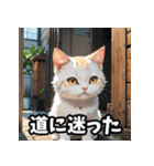 感情まるわかり！ネコの気持ちスタンプ（個別スタンプ：34）