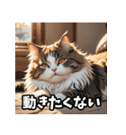 感情まるわかり！ネコの気持ちスタンプ（個別スタンプ：39）