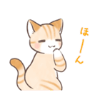 スナネコのサシャ 2（個別スタンプ：24）