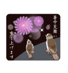 ジュウシマツ！夏に使えるスタンプ（個別スタンプ：2）