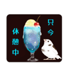 ジュウシマツ！夏に使えるスタンプ（個別スタンプ：4）
