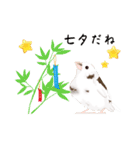 ジュウシマツ！夏に使えるスタンプ（個別スタンプ：11）