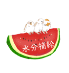 ジュウシマツ！夏に使えるスタンプ（個別スタンプ：16）