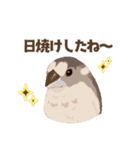 ジュウシマツ！夏に使えるスタンプ（個別スタンプ：20）