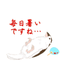 ジュウシマツ！夏に使えるスタンプ（個別スタンプ：23）