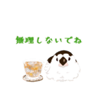 ジュウシマツ！夏に使えるスタンプ（個別スタンプ：24）