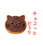 トーストの猫、カリッと一言（個別スタンプ：11）