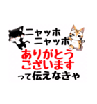 ニャッホニャッホで挨拶スタンプ（個別スタンプ：1）